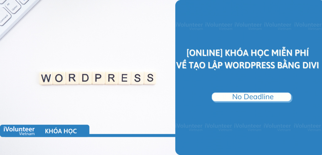 [Online] Khoá Học Miễn Phí Về Tạo Lập Wordpress Bằng Divi