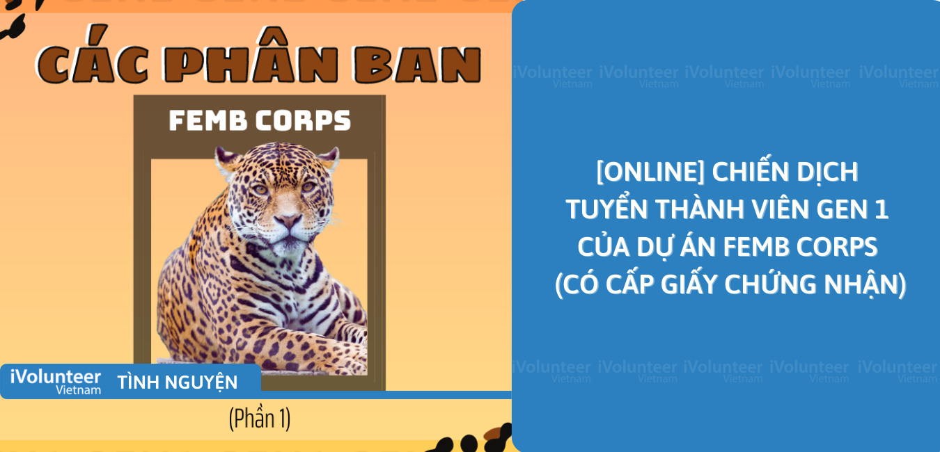 [Online] Chiến Dịch Tuyển Thành Viên Gen 1 Của Dự Án Femb Corps (Có Cấp Giấy Chứng Nhận)