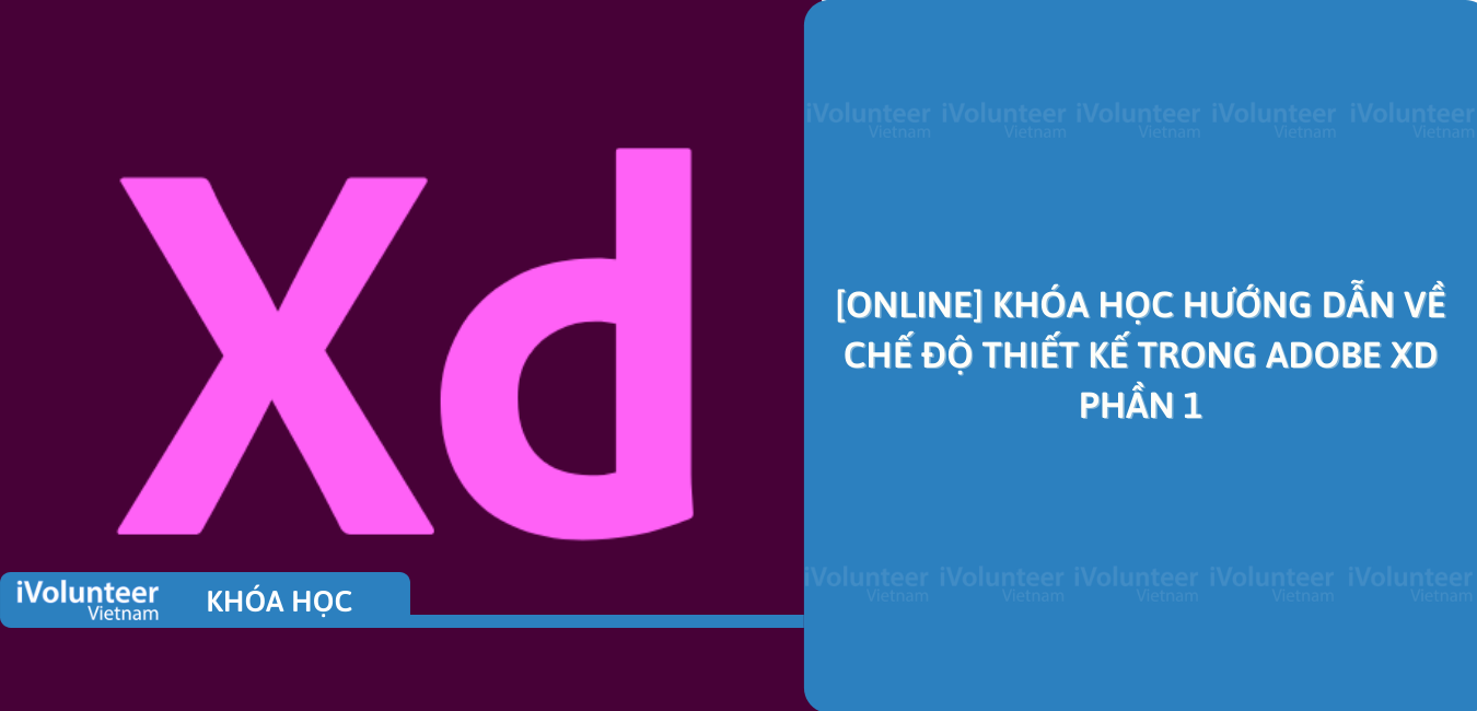 [Online] Khóa Học Hướng Dẫn Về Chế Độ Thiết Kế Trong Adobe XD Phần 1