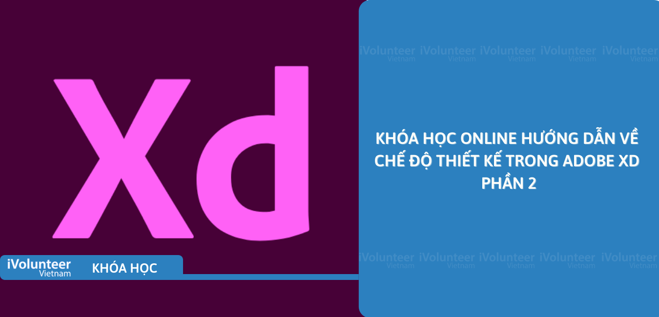 Khóa Học Online Hướng Dẫn Về Chế Độ Thiết Kế Trong Adobe XD Phần 2