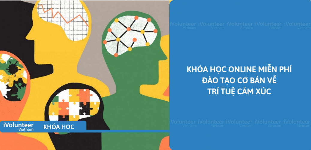 Khóa Học Online Miễn Phí Đào Tạo Cơ Bản Về Trí Tuệ Cảm Xúc