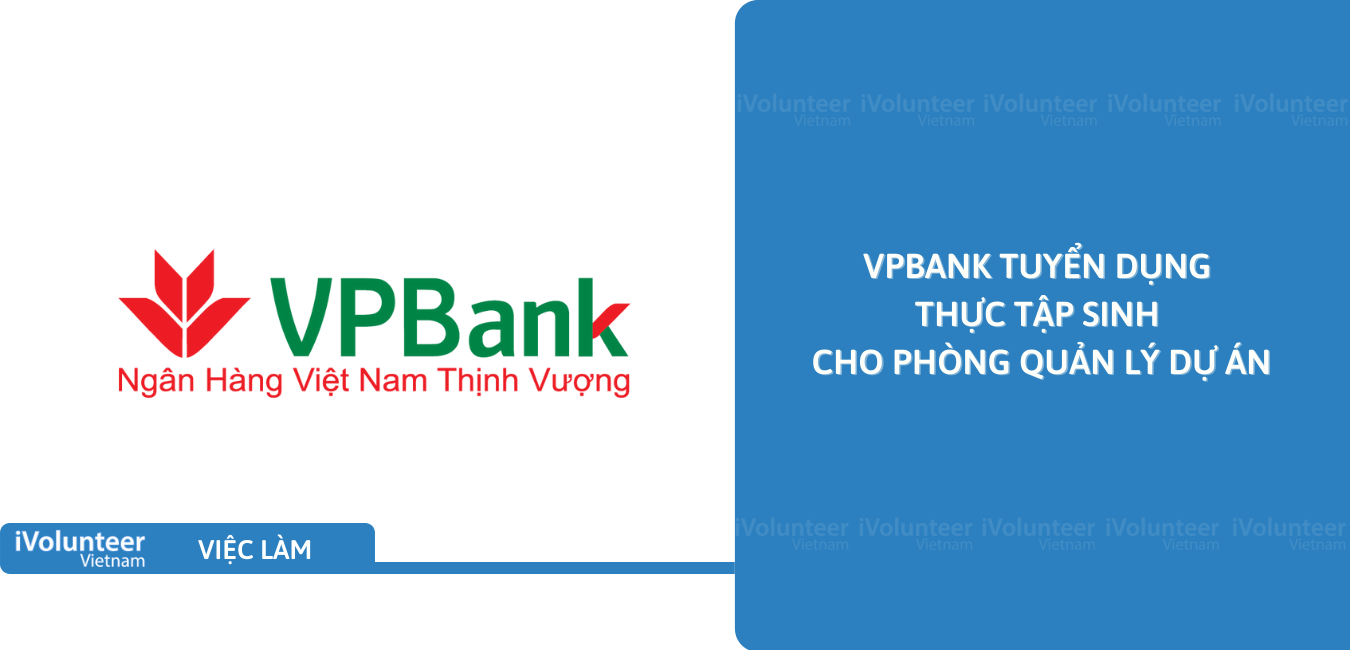 [HN] VPBank Tuyển Dụng Thực Tập Sinh Cho Phòng Quản Lý Dự Án