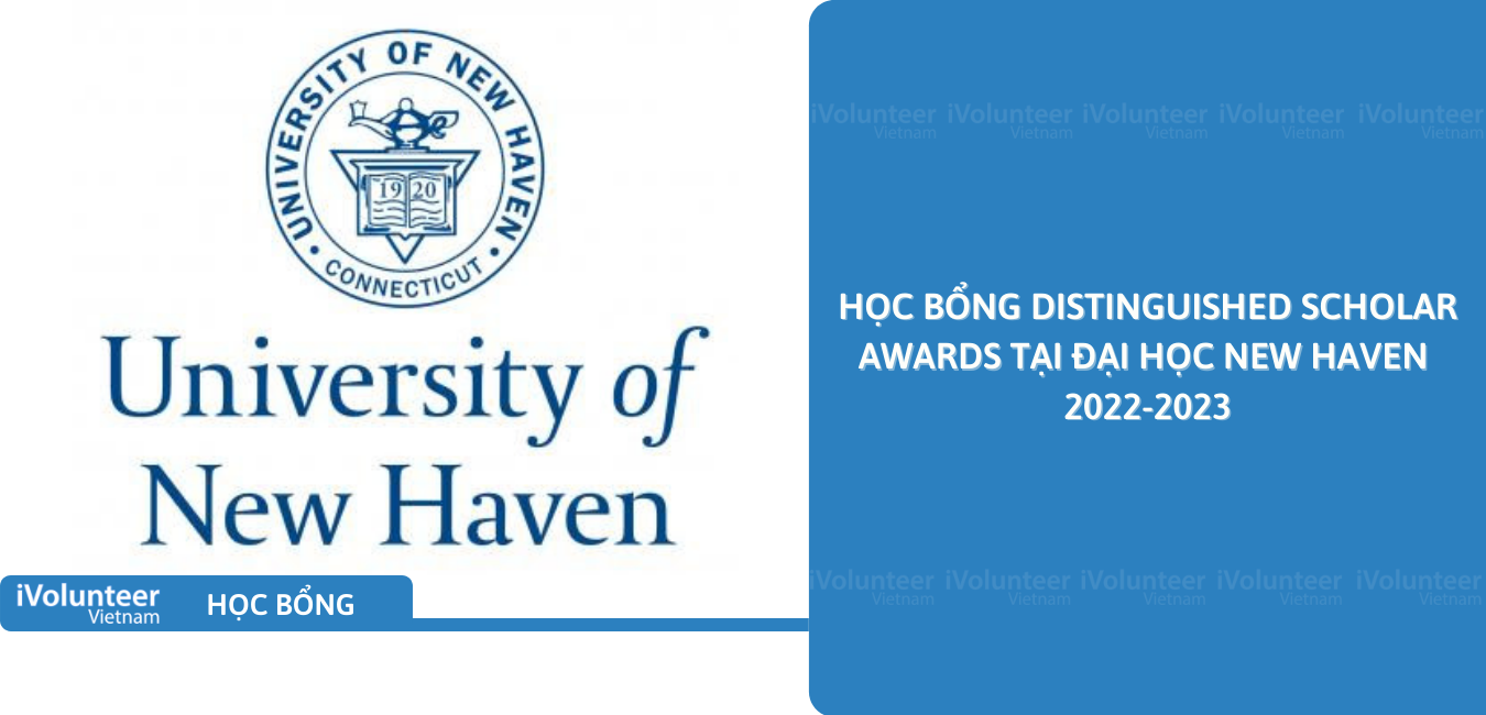 [Hoa Kỳ] Học Bổng Distinguished Scholar Awards Tại Đại Học New Haven 2022-2023