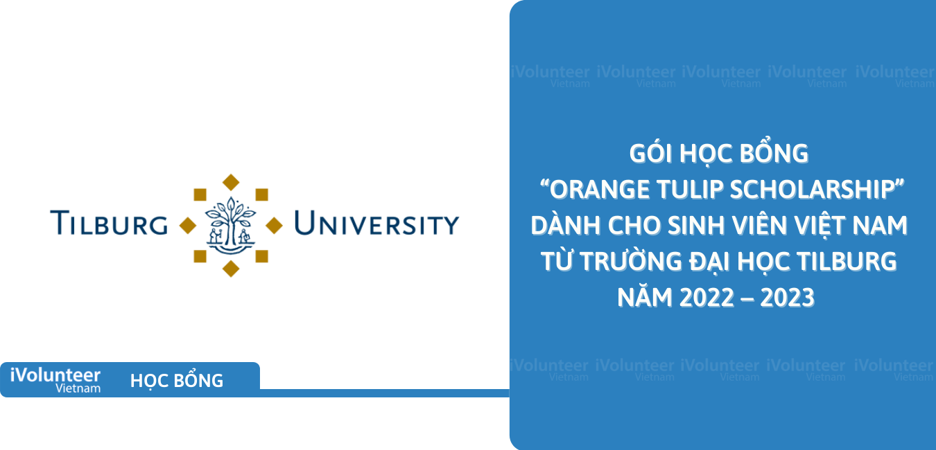 [Hà Lan] Gói Học Bổng “Orange Tulip Scholarship” Dành Cho Sinh Viên Việt Nam Từ Trường Đại Học Tilburg Năm 2022 – 2023