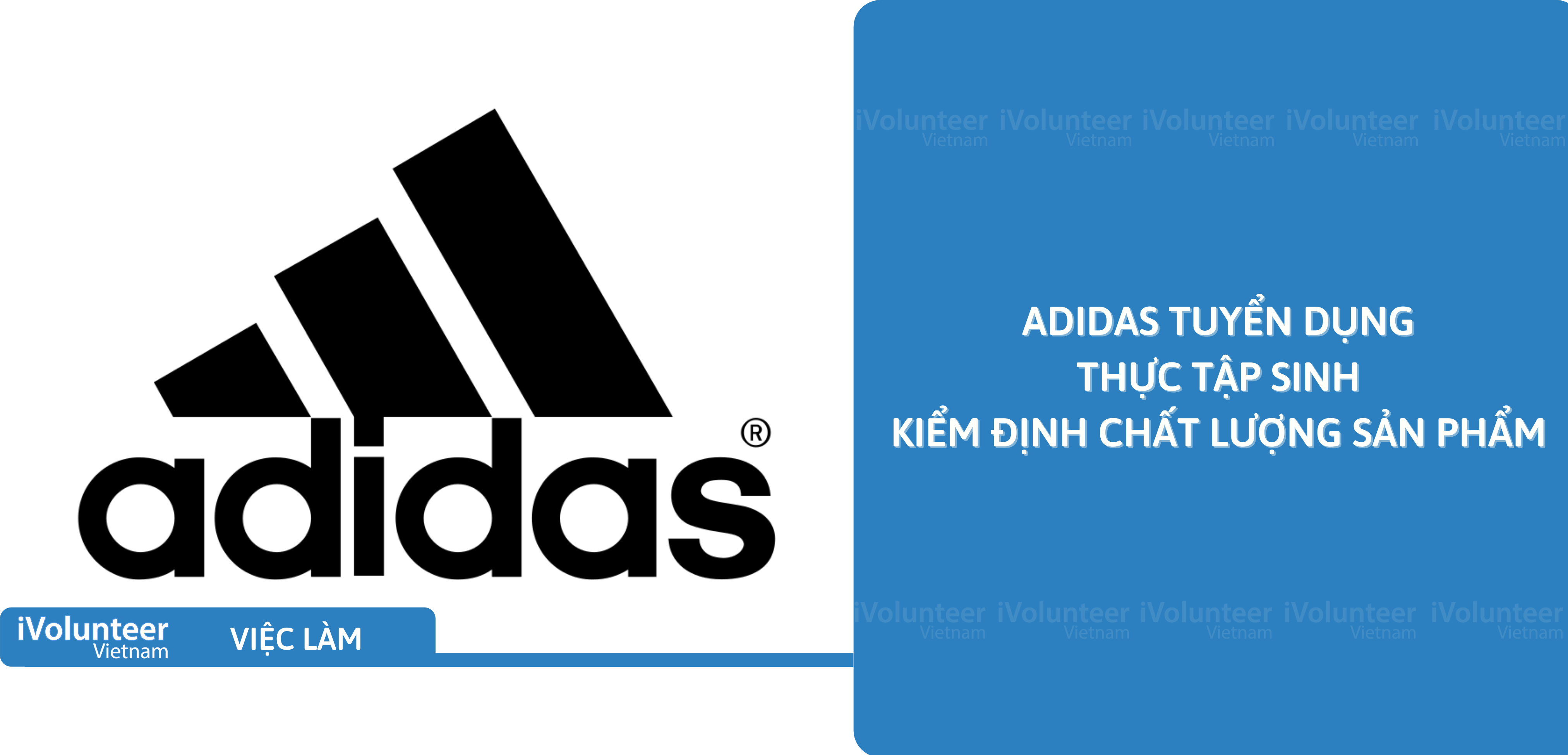 [TP.HCM] Adidas Tuyển Dụng Thực Tập Sinh Kiểm Định Chất Lượng Sản Phẩm