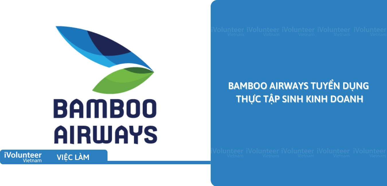 [HN] Bamboo Airways Tuyển Dụng Thực Tập Sinh Kinh Doanh