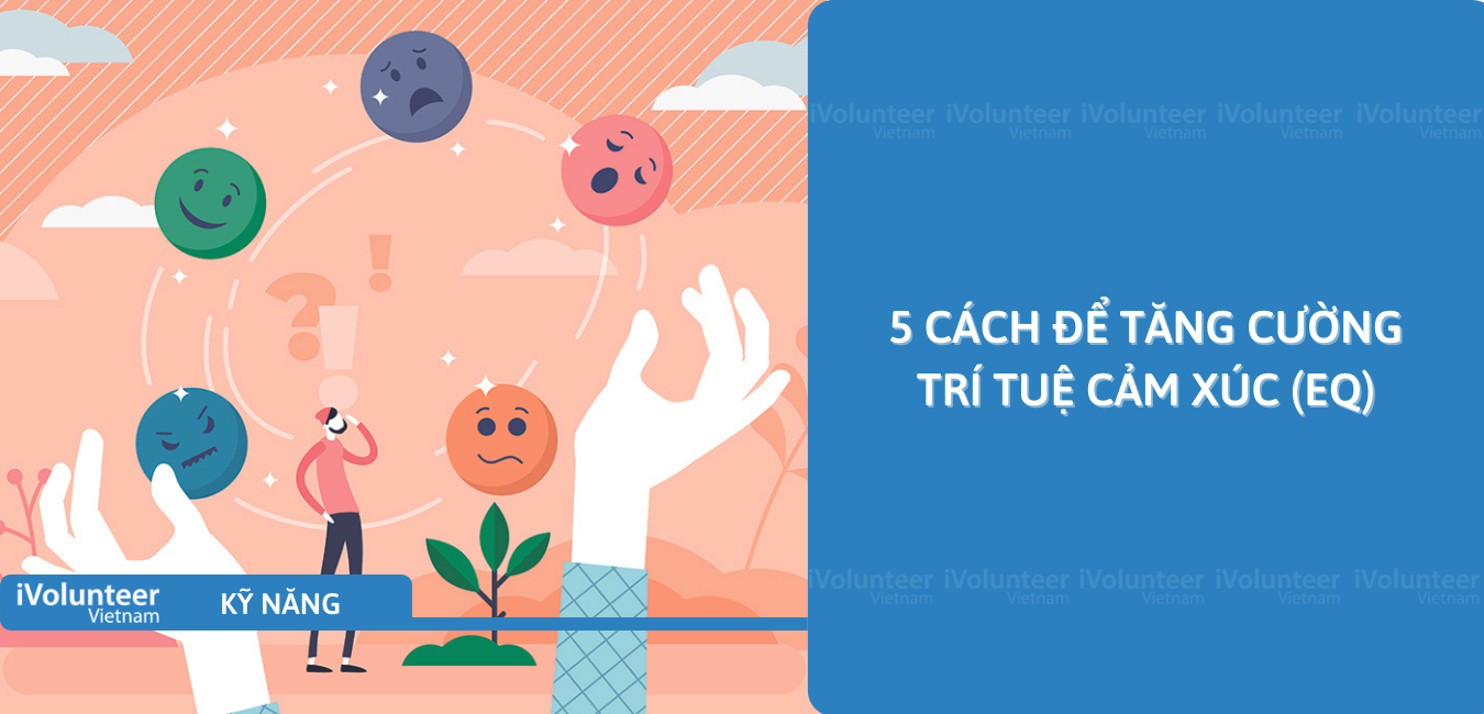 5 Cách Để Tăng Cường Trí Tuệ Cảm Xúc (EQ)