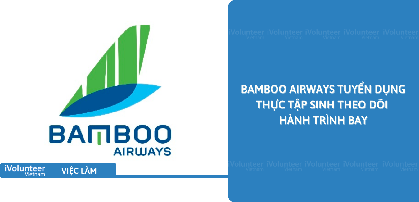 [HN] Bamboo Airways Tuyển Dụng Thực Tập Sinh Theo Dõi Hành Trình Bay