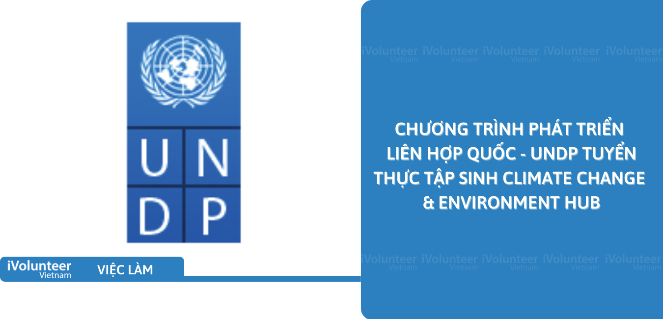 [HN] Chương Trình Phát Triển Liên Hợp Quốc - UNDP Tuyển Thực Tập Sinh Climate Change & Environment Hub
