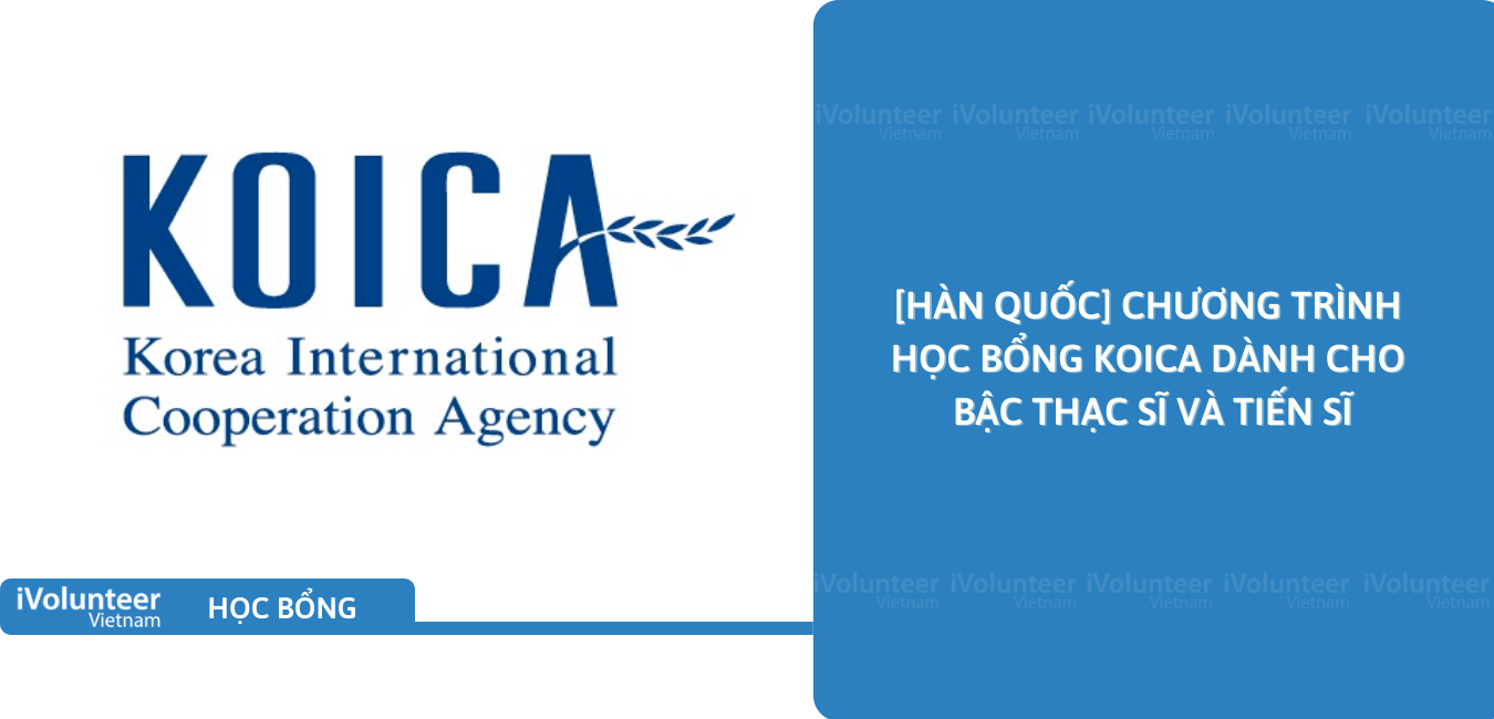 Cách Săn Học Bổng Hàn Quốc - Hướng Dẫn Toàn Diện Để Thực Hiện Ước Mơ Du Học