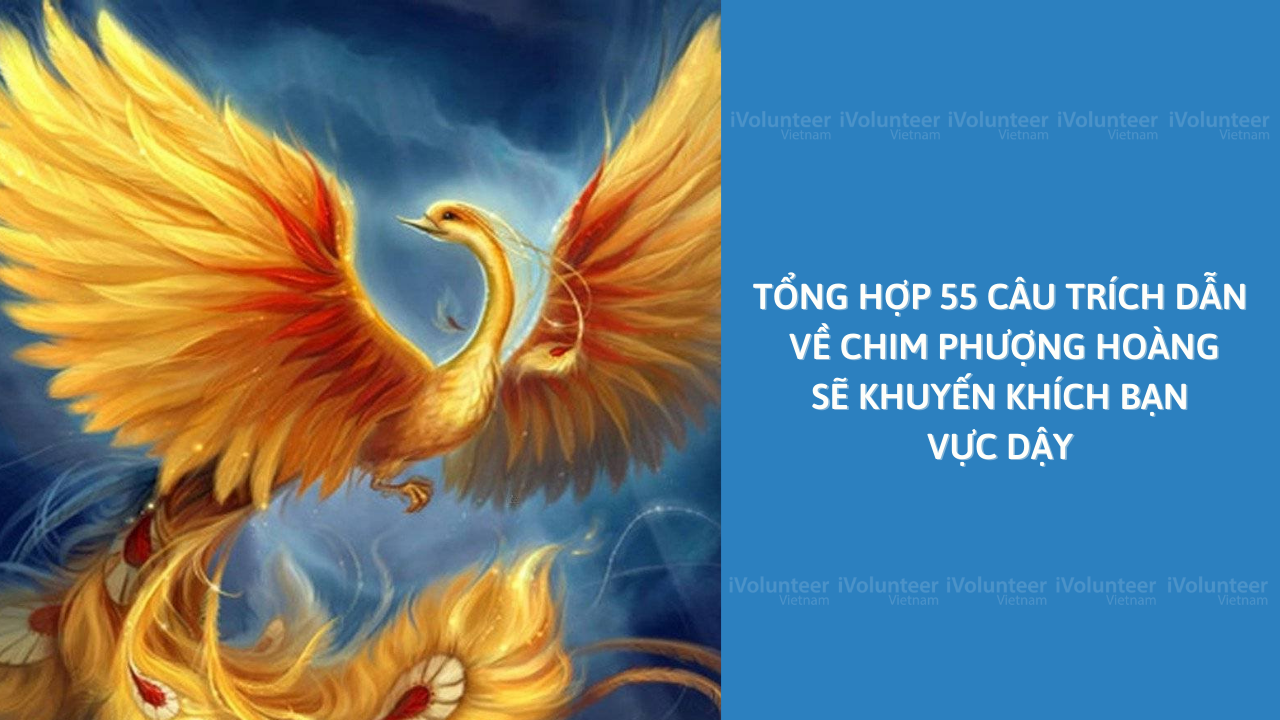 Tổng Hợp 55 Câu Trích Dẫn Về Chim Phượng Hoàng Sẽ Khuyến Khích Bạn ...