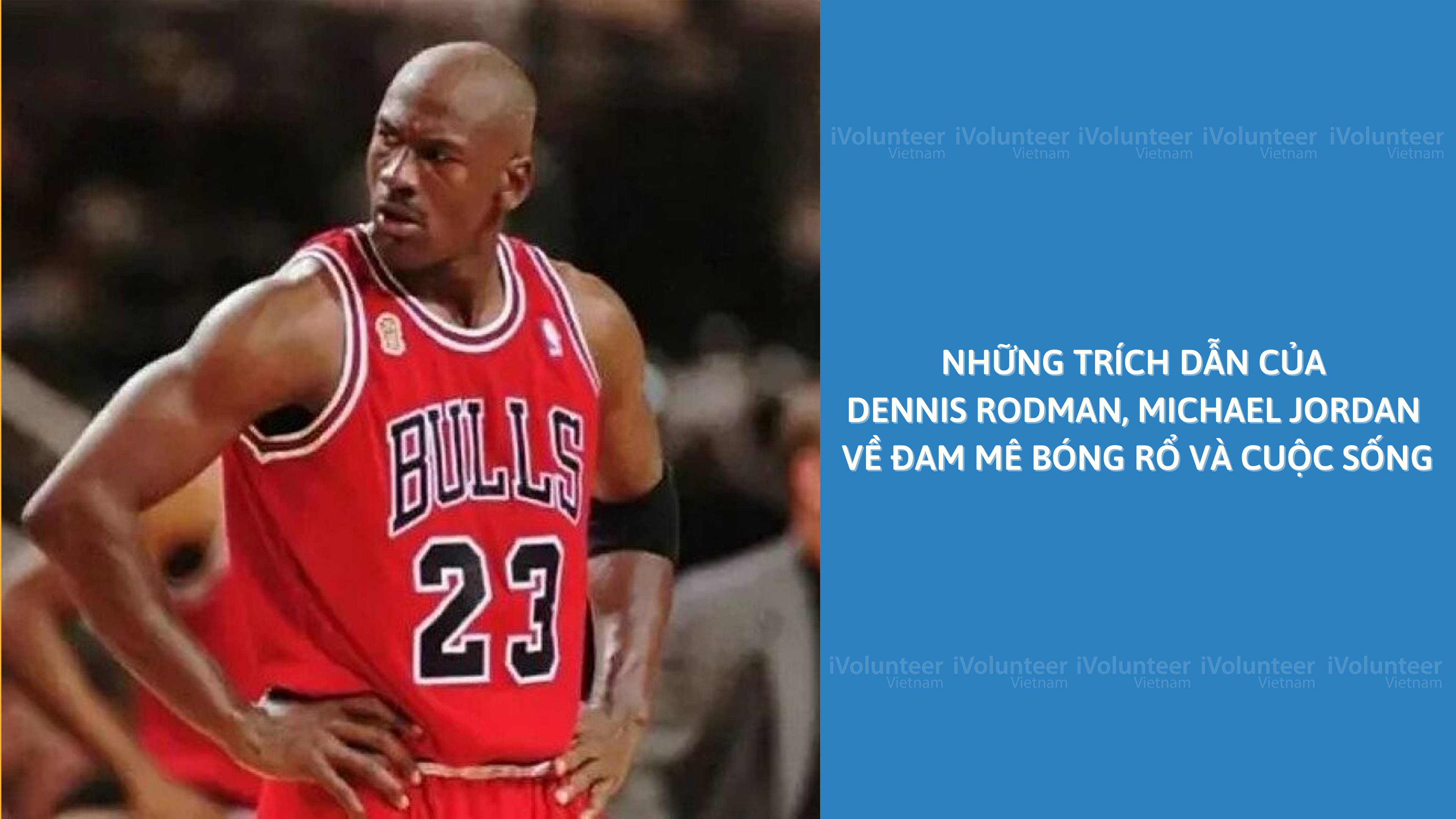Những Trích Dẫn Của Dennis Rodman, Michael Jordan Về Đam Mê Bóng Rổ Và Cuộc Sống