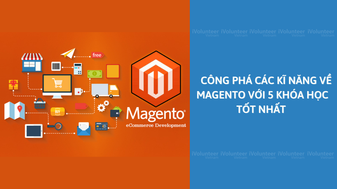 Công Phá Các Kĩ Năng Về Magento Với 5 Khóa Học Tốt Nhất