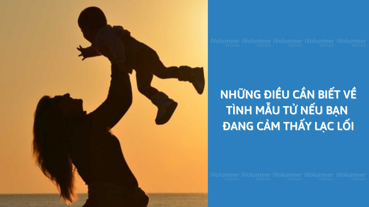 Những Điều Cần Biết Về Tình Mẫu Tử Nếu Bạn Đang Cảm Thấy Lạc Lối