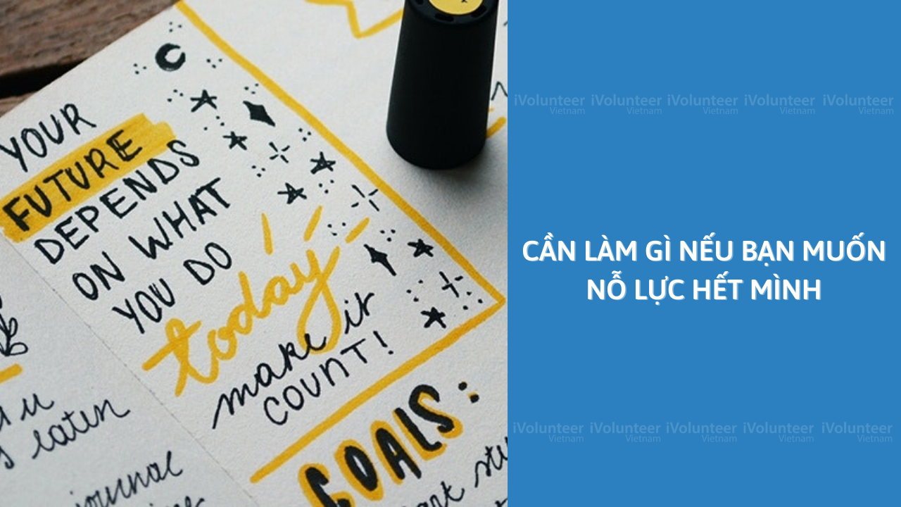 Cần Làm Gì Nếu Bạn Muốn Nỗ Lực Hết Mình