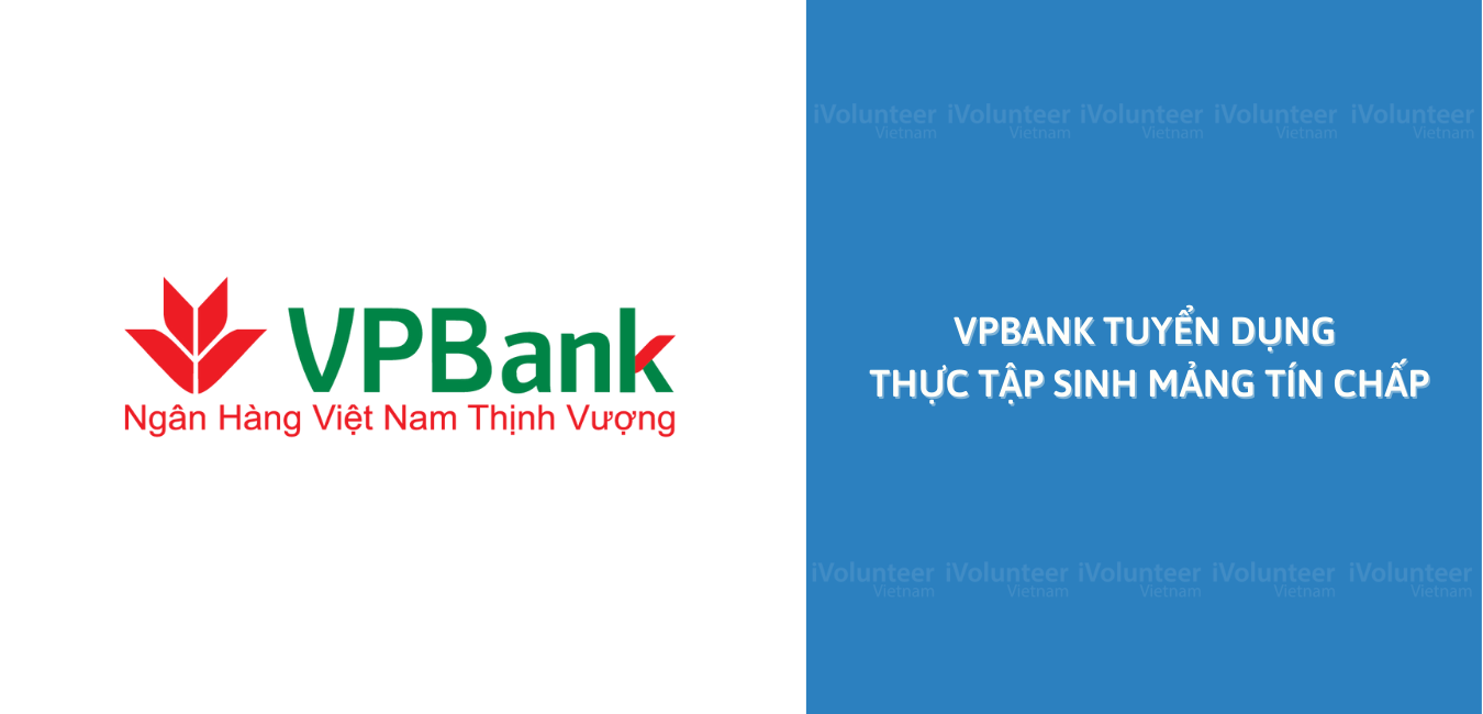 [HN] Cơ Hội Làm Việc Tại VPBank Trong Vai Trò Thực Tập Sinh Mảng Tín Chấp