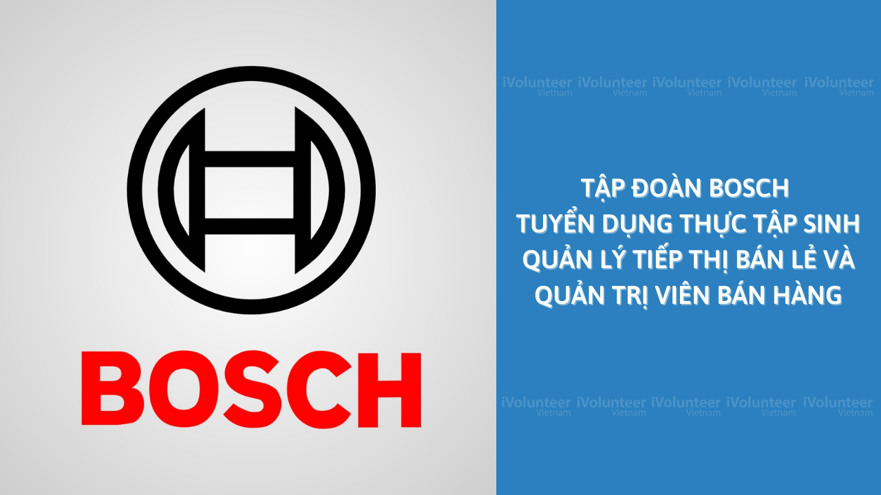 [HN] Tập Đoàn Bosch Tuyển Dụng Thực Tập Sinh quản lý tiếp thị bán lẻ và quản trị viên bán hàng