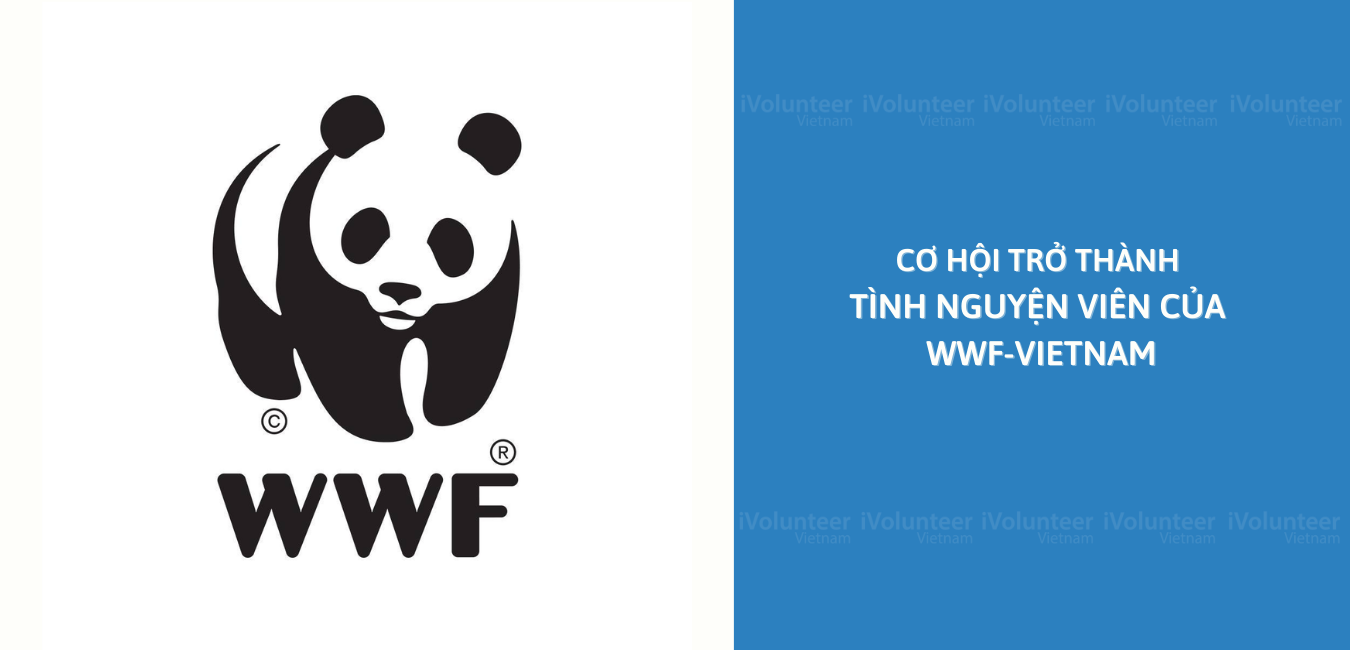 [Toàn Quốc] Cơ Hội Dành Cho Những Người Yêu Thiên Nhiên Khi Trở Thành Tình Nguyện Viên Của WWF-Vietnam