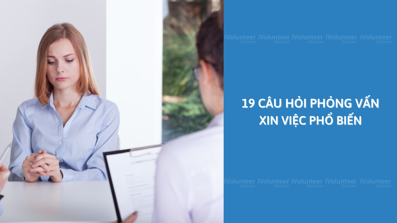 19 Câu Hỏi Phỏng Vấn Xin Việc Phổ Biến