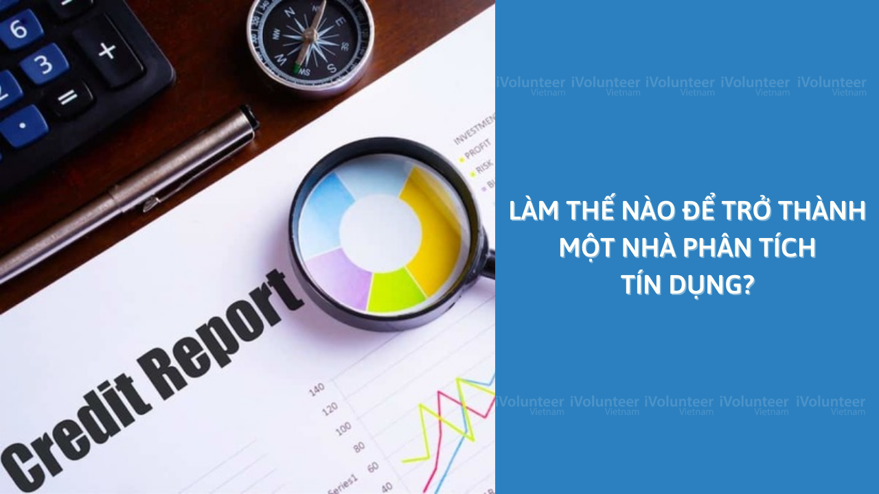 Làm Thế Nào Để Trở Thành Một Nhà Phân Tích Tín Dụng?