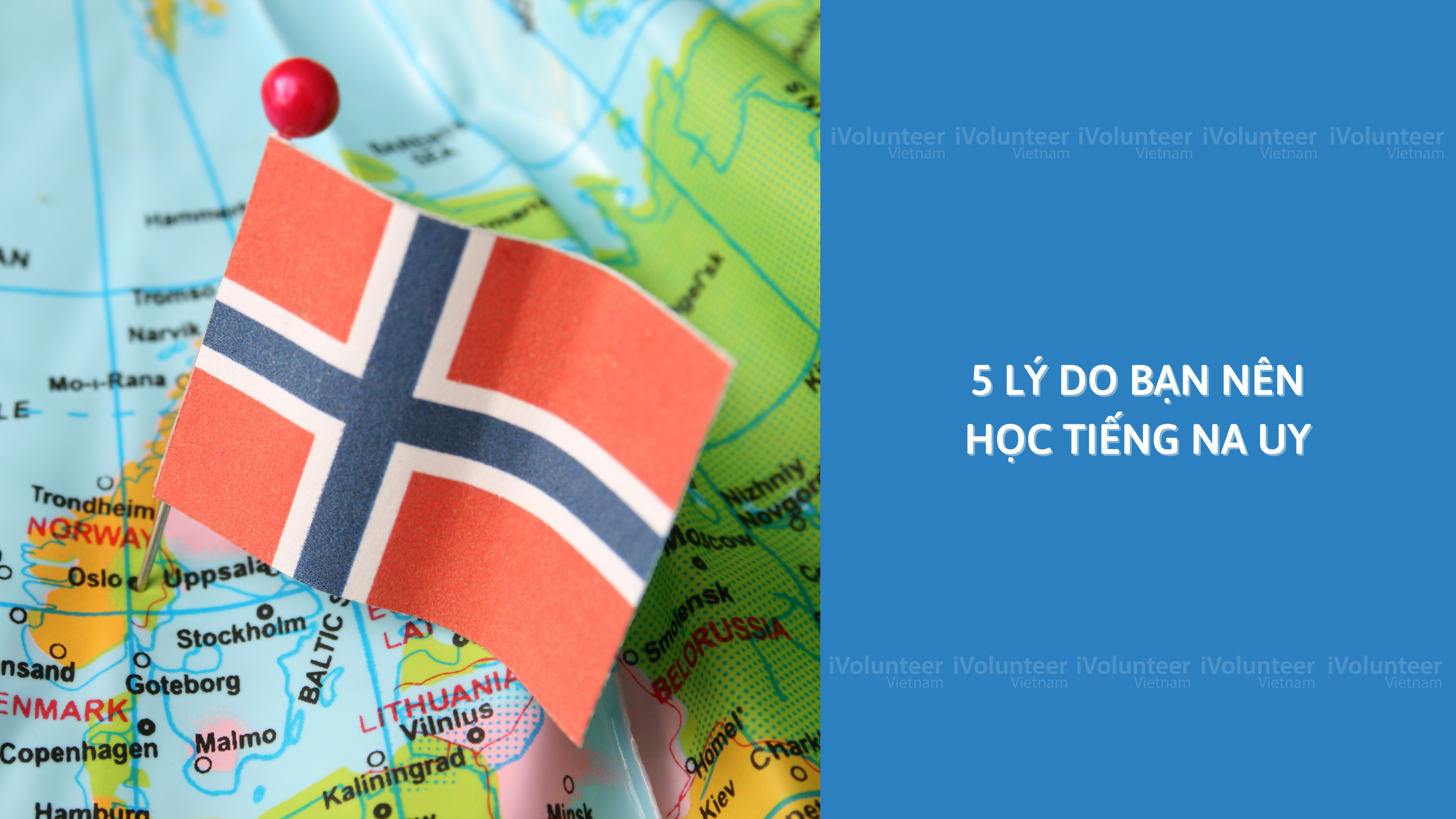 5 Lý Do Bạn Nên Học Tiếng Na Uy