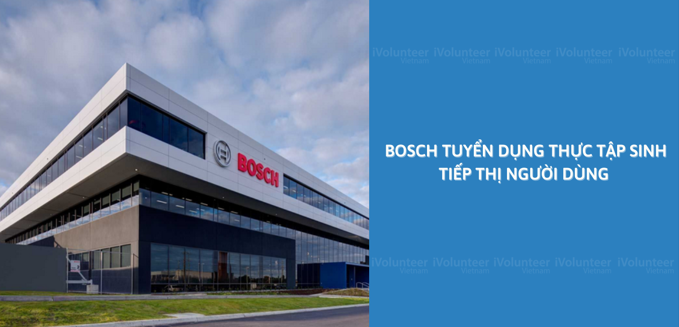 Tập Đoàn Bosch Tuyển Dụng Thực Tập Sinh Tiếp Thị Người Tiêu Dùng