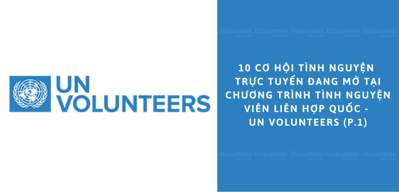 10 Cơ Hội Tình Nguyện Trực Tuyến Đang Mở Tại Chương Trình Tình Nguyện Viên Liên Hợp Quốc - UN Volunteers (P.1)