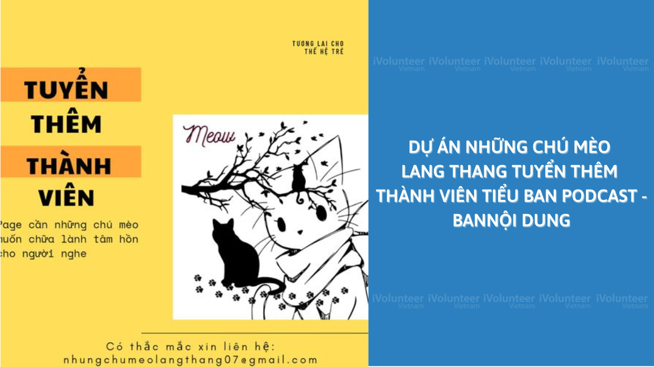 Dự Án Những Chú Mèo Lang Thang Tuyển Thêm Thành Viên Tiểu Ban Podcast - BanNội Dung