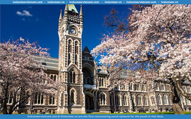 Học Bổng Bán Phần Bậc Thạc Sĩ Tại Đại Học Otago 2022-2023