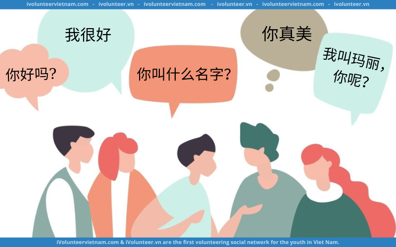Khóa Học Online Miễn Phí Về Những Kiến Thức Tiếng Trung Cơ Bản Với Litao Chinese
