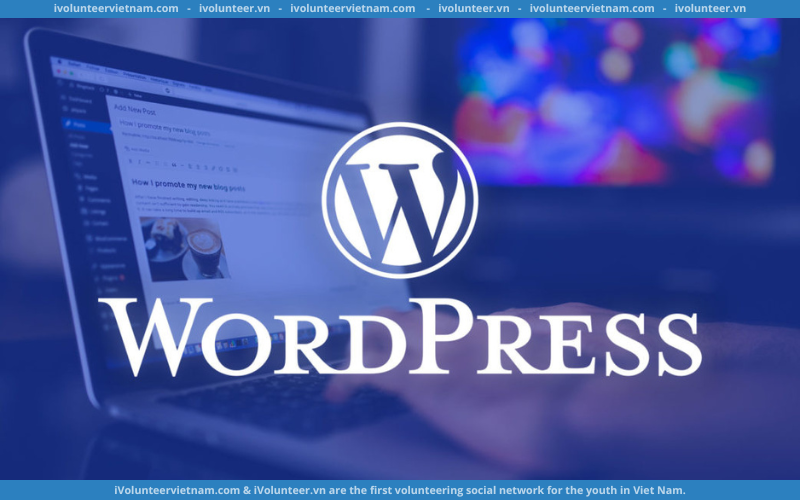 Khóa Học Wordpress Giúp Bạn Xây Dựng Trang Web Cá Nhân Dễ Dàng Chỉ Trong 2 Giờ