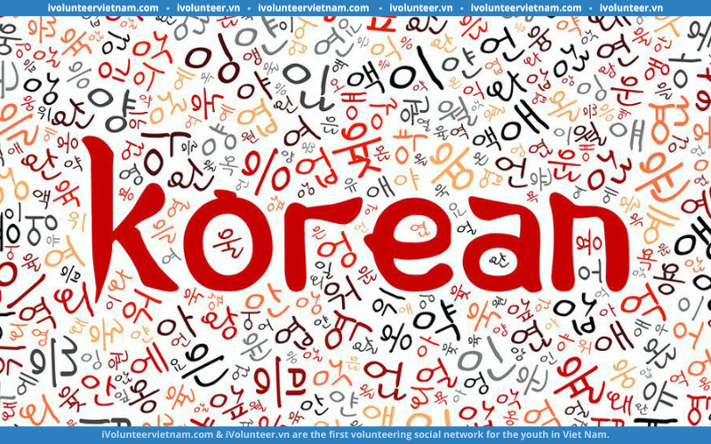 Khoá Học Tiếng Hàn Sơ Cấp Giảng Dạy Bởi Trường Đại Học Yonsei