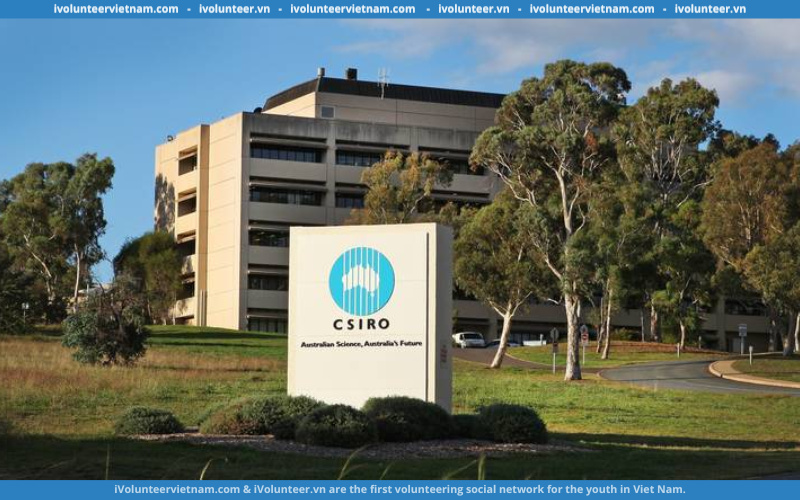 Học Bổng Bán Phần Bậc Cử Nhân Từ Tổ Chức Nghiên Cứu Khoa Học & Công Nghiệp CSIRO