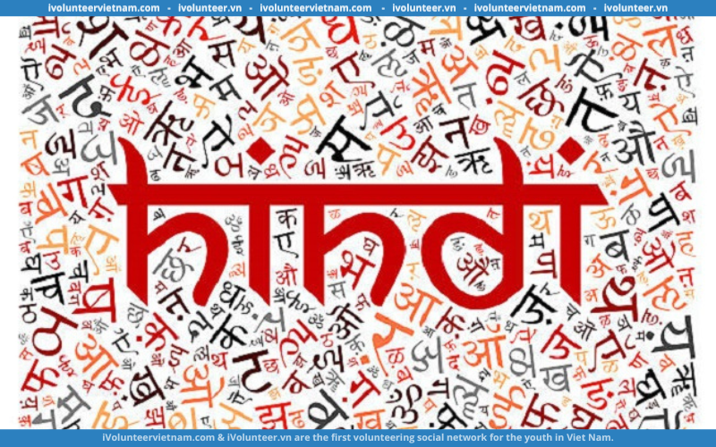 Khóa Học Tiếng Hindi Online Kéo Dài 3 Tháng Được Tổ Chức Bởi Hội Đồng Quan Hệ Văn Hóa Ấn Độ (ICCR)