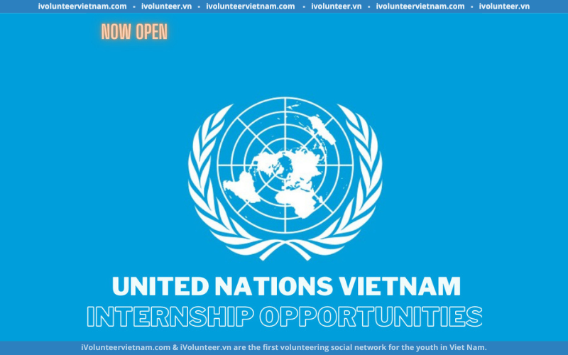 United Nations Vietnam: Recruiment Of CBO Service Desk Intern And CBO Protocol & Admin Intern (Paid Interships)