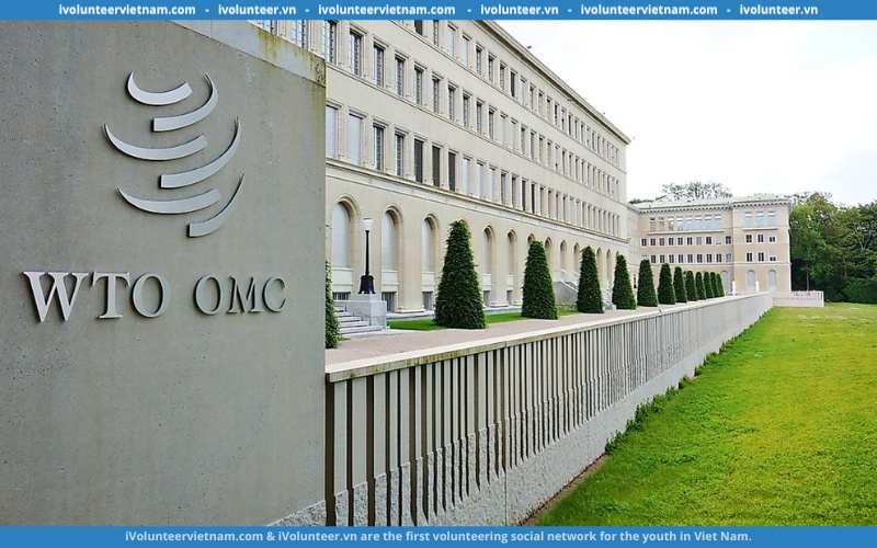 Chương Trình Thực Tập Đến Từ Tổ Chức Thương Mại Thế Giới WTO