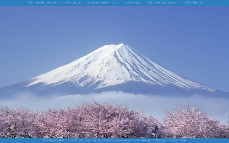 Chương Trình Thực Tập Ngắn Hạn Do Bộ Kinh Tế Và Công Thương Nhật Bản (METI) Tổ Chức