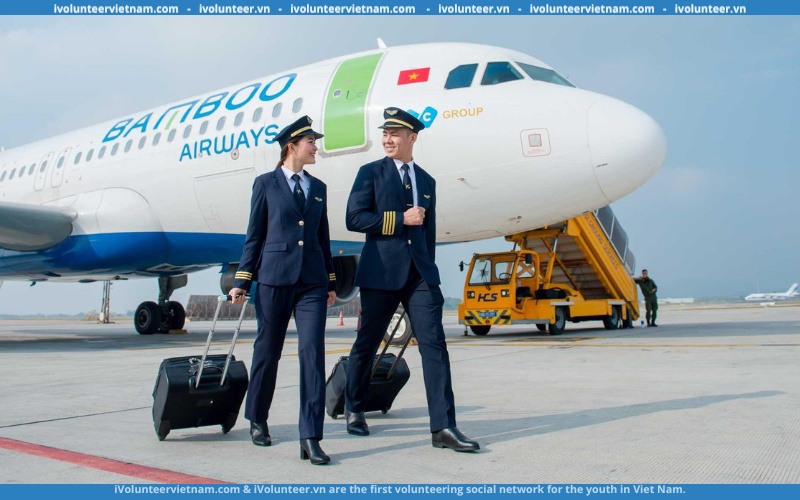 Hãng Hàng Không Bamboo Airways Tuyển Thực Tập Sinh Tuyển Dụng