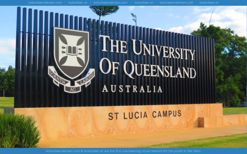 Học Bổng MBA Bậc Thạc Sĩ Dành Cho Sinh Viên Quốc Tế Tại Đại Học Queensland - Úc