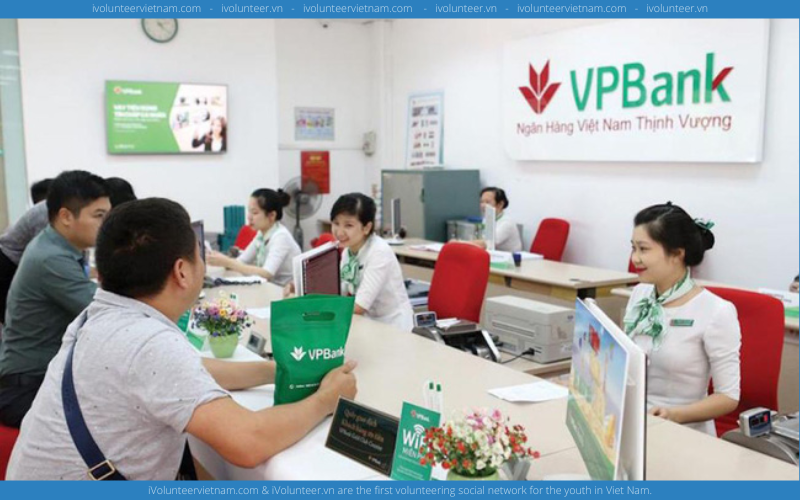 Ngân Hàng Thương Mại Cổ Phần VPBank Tuyển Thực Tập Sinh Dự Án Branch Model