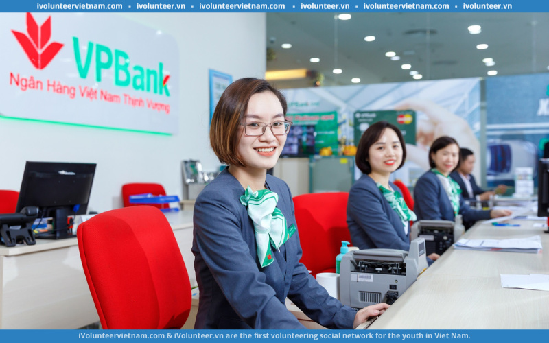 Ngân hàng VPBank Tuyển Dụng Thực Tập Sinh Dịch Vụ Tài Khoản