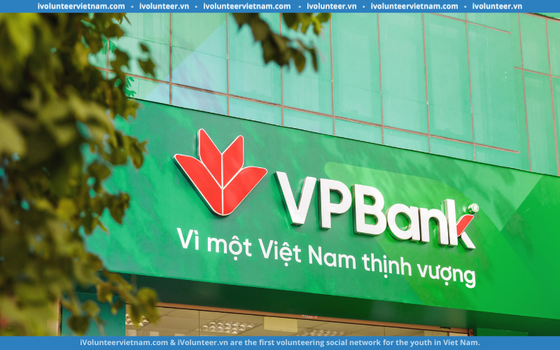 Ngân Hàng VPBank Tuyển Thực Tập Sinh Dịch Vụ Tài Khoản