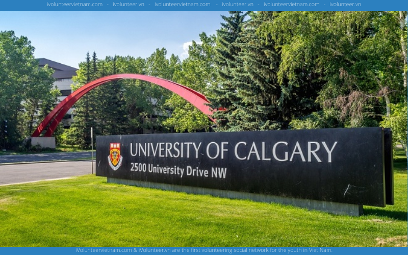 Học Bổng Đầu Vào Quốc Tế Của Đại Học Calgary Năm 2023 Dành Cho Sinh Viên Đại Học