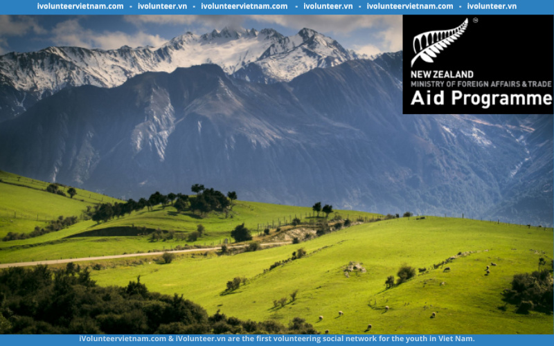 Học Bổng Toàn Phần Bậc Cử Nhân Và Sau Đại Học New Zealand Aid Programme Của Chính Phủ New Zealand 2023