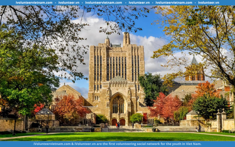 Học Bổng Toàn Phần Và Bán Phần Bậc Cử Nhân Và Thạc Sĩ Tại Đại Học Yale 2022-2023