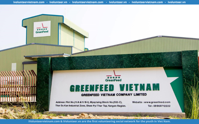 Công Ty Cổ Phần GreenFeed Việt Nam Tuyển Thực Tập Sinh Talent Acquisition