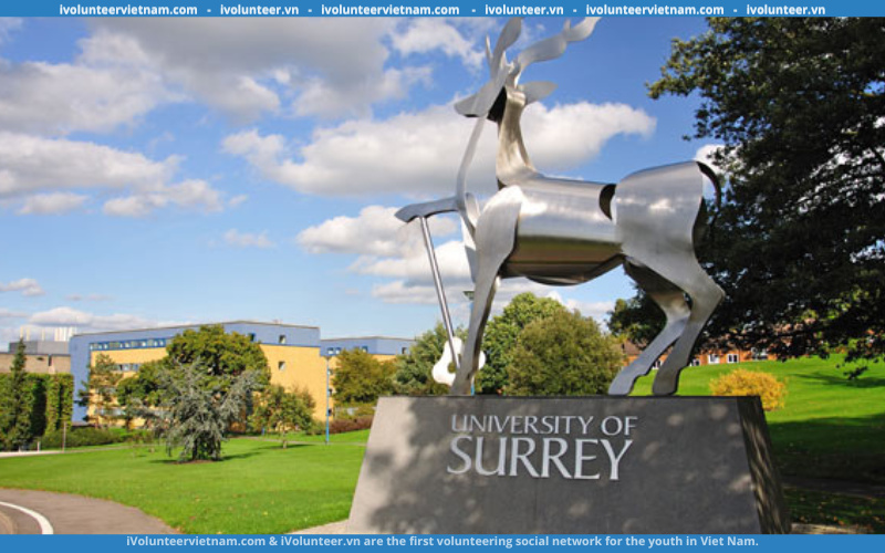Học Bổng Bán Phần Bậc Đại Học Tại Đại Học Surrey 2023