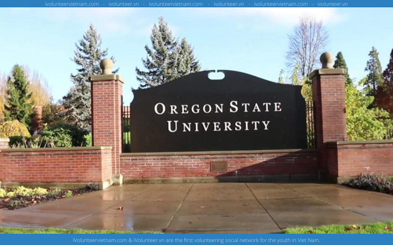 Học Bổng Bán Phần Bậc Cử Nhân Tại Đại Học Oregon 2022-2023