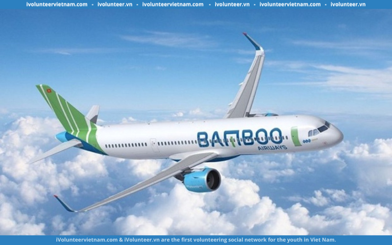 Hãng Hàng Không Bamboo Airways Tuyển Dụng Thực Tập Sinh Kiểm Soát Nội Bộ 2022