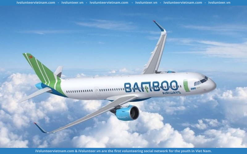 Hãng Hàng Không Bamboo Airways Tuyển Dụng Thực Tập Sinh Phòng Phát Triển Tổ Chức Và Quản Trị Hệ Thống